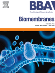 Biochimica et Biophysica Acta (BBA) - Biomembranes