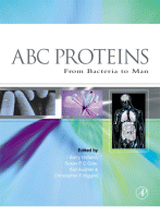 Cover for ABC Proteins