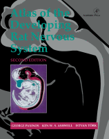 Cover for Atlas of the Developing Rat Nervous System