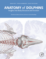 Cover for Anatomy of Dolphins