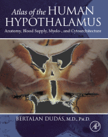 Cover for Atlas of the Human Hypothalamus