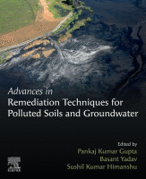 Cover for Advances in Remediation Techniques for Polluted Soils and Groundwater