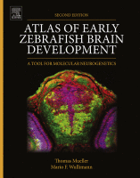 Cover for Atlas of Early Zebrafish Brain Development