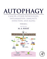 Cover for Autophagy: Cancer, Other Pathologies, Inflammation, Immunity, Infection, and Aging