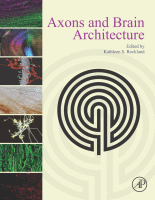 Cover for Axons and Brain Architecture