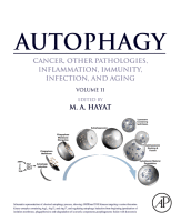 Cover for Autophagy: Cancer, Other Pathologies, Inflammation, Immunity, Infection, and Aging