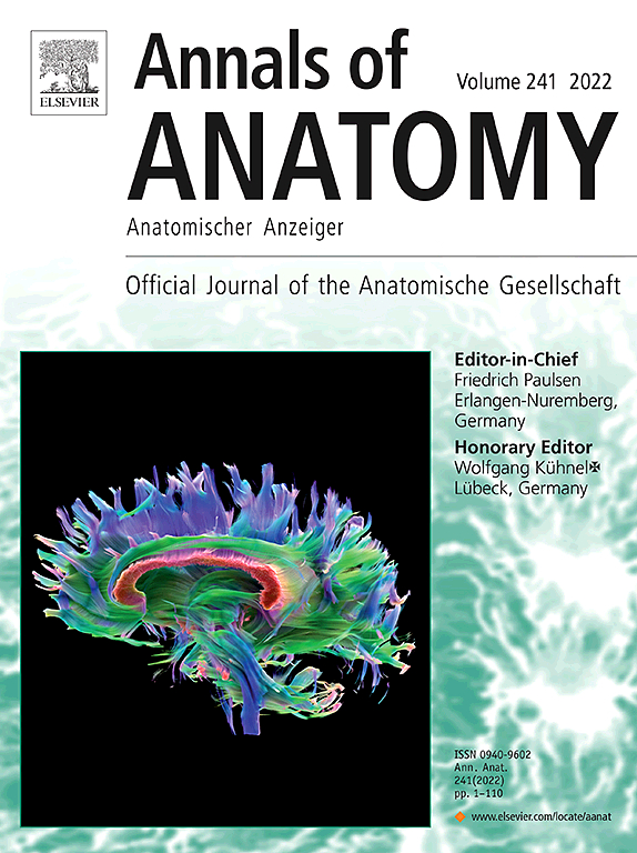 Go to journal home page - Annals of Anatomy - Anatomischer Anzeiger
