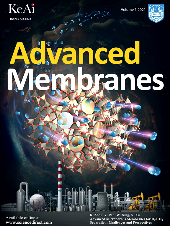 Go to journal home page - Advanced Membranes